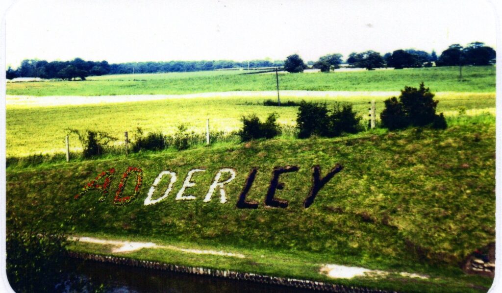 Adderley canal side flowers 1981