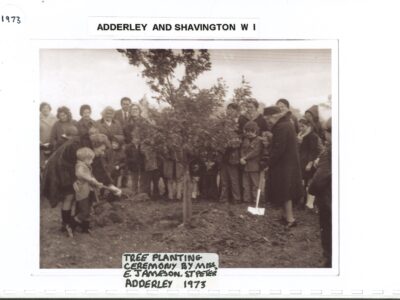 Tree planting