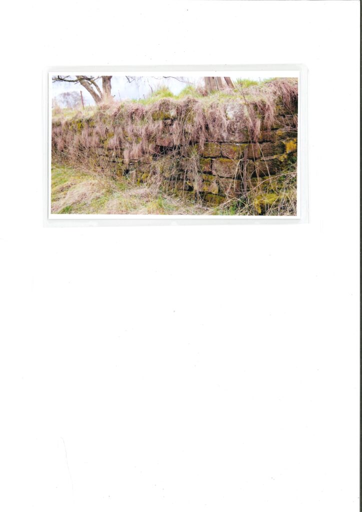 Perimiter wall of the second Adderley Hall