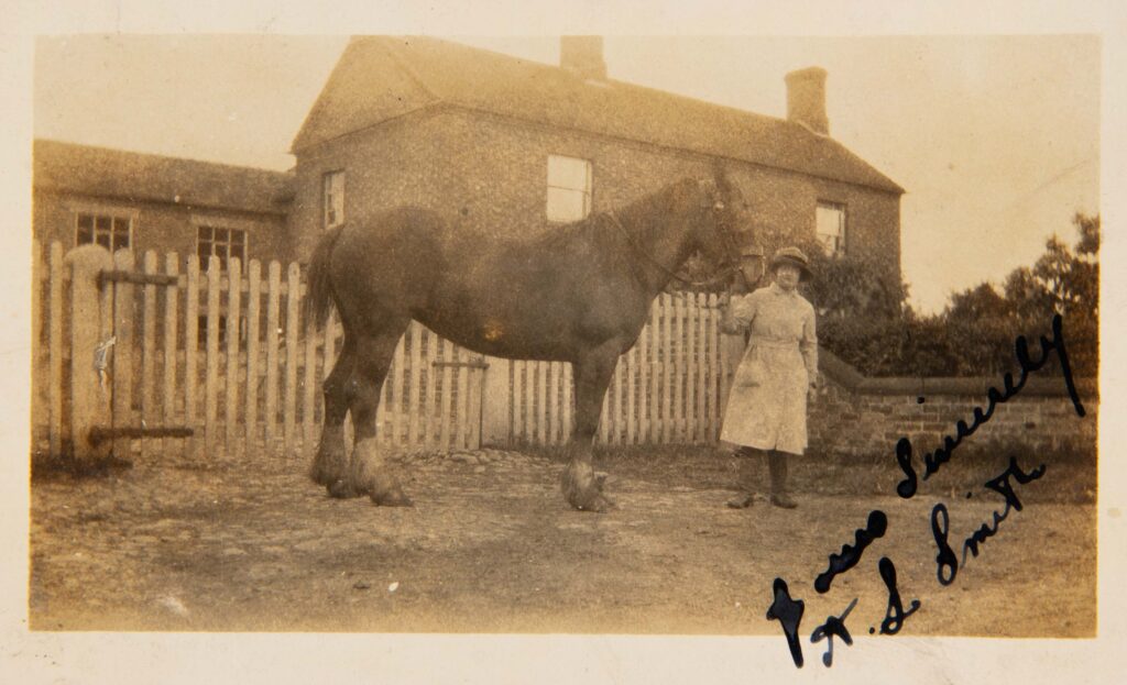 Cart horse with handler outside farm