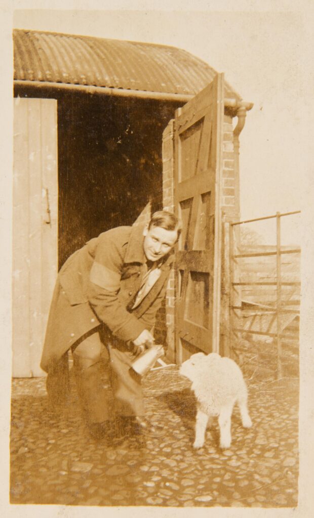 Soldier feeding a lamb