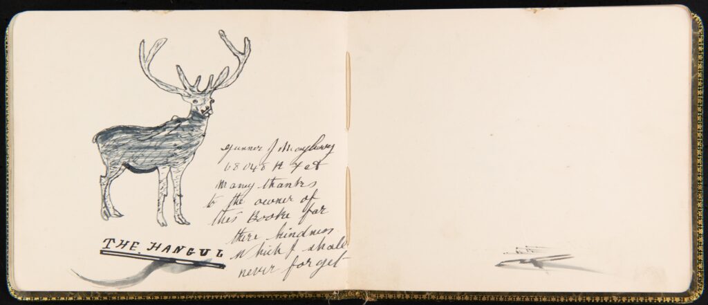 Raven House Soldiers Autograph Album
