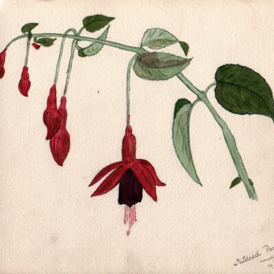 Fushia Painting
